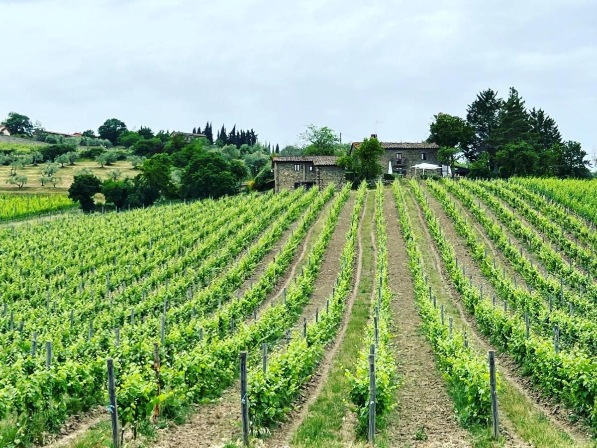 Hotel Locanda Podere Le Vigne à Radda in Chianti Extérieur photo