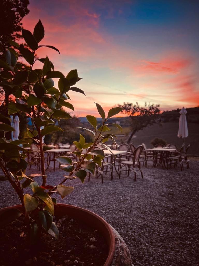 Hotel Locanda Podere Le Vigne à Radda in Chianti Extérieur photo